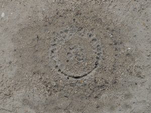 traces in the sand 2